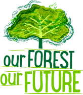 Our forest our future