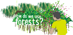 How do we use forests?
