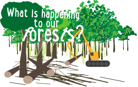 What is happening to our forests?